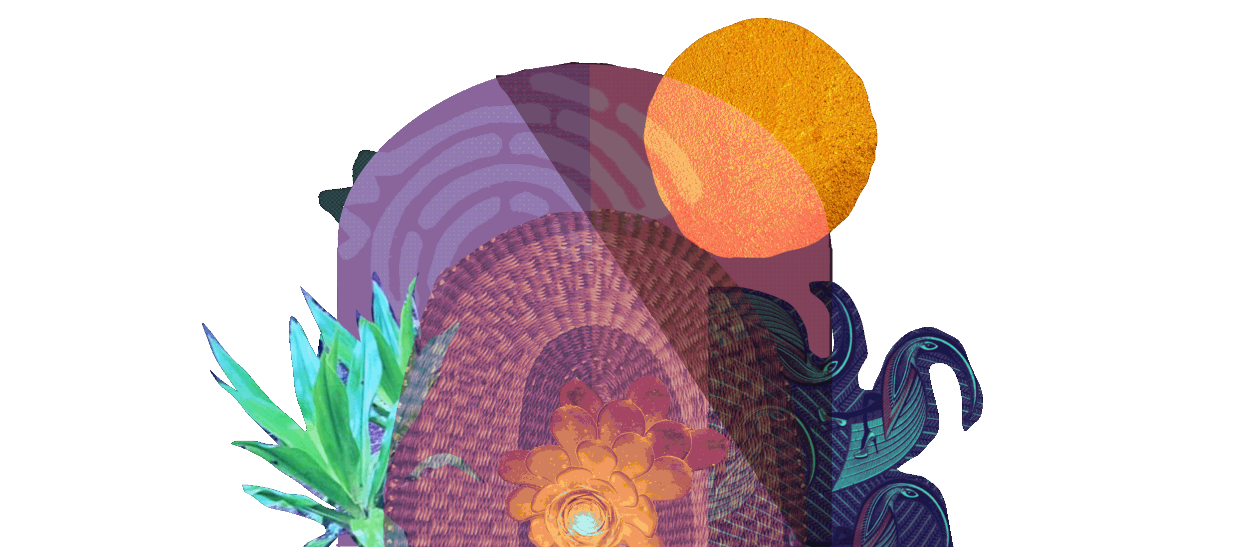 Nawi Logo